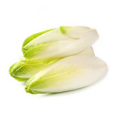 Endives White Chicory 500g Netherlands